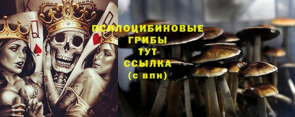 прущая мука Дмитров