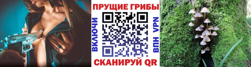 Купить  Жиздра  Галлюциногенные грибы ЛСД 